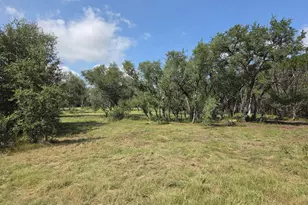 113 Jayhawk Ct Ct, Burnet, TX 78611 - Photo 9
