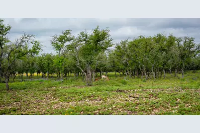 Tbd El Rincon Road, Mountain Home, TX 78058 - Photo 15