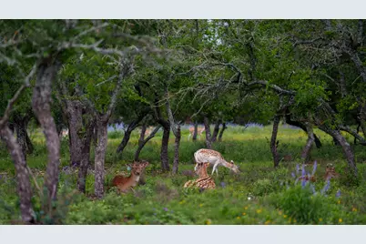 Tbd El Rincon Road, Mountain Home, TX 78058 - Photo 29