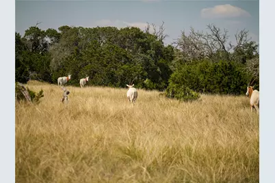 39 Buckskin Path, Fredericksburg, TX 78624 - Photo 15