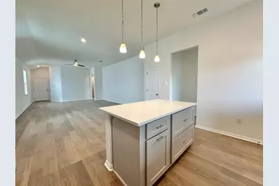 339 Elephant Island Loop, Kyle, TX 78640 - Photo 5