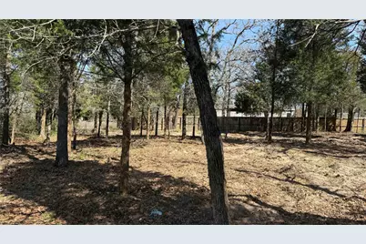 160 Los Robles Road, Elgin, TX 78621 - Photo 3