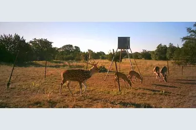 7800 County Road 210, Bertram, TX 78605 - Photo 31