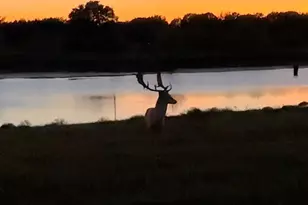 7800 Co Rd 210, Bertram, TX 78605 - Photo 25