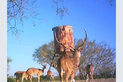 7800 County Road 210, Bertram, TX 78605 - Photo 33