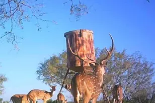 7800 Co Rd 210, Bertram, TX 78605 - Photo 33