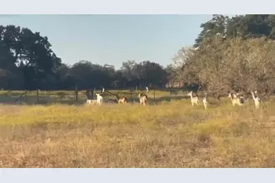 7800 County Road 210, Bertram, TX 78605 - Photo 27