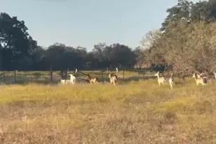 7800 Co Rd 210, Bertram, TX 78605 - Photo 27