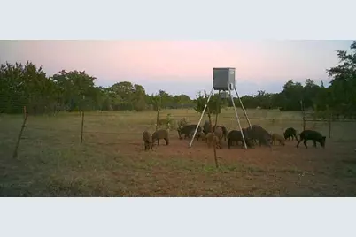 7800 County Road 210, Bertram, TX 78605 - Photo 29