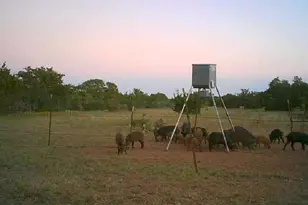 7800 Co Rd 210, Bertram, TX 78605 - Photo 29