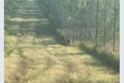 7800 County Road 210, Bertram, TX 78605 - Photo 23