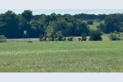 7800 County Road 210, Bertram, TX 78605 - Photo 21