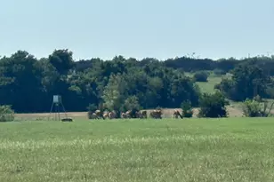 7800 Co Rd 210, Bertram, TX 78605 - Photo 21