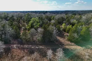 Lot 11 Antioch Rd, Paige, TX 78659 - Photo 1