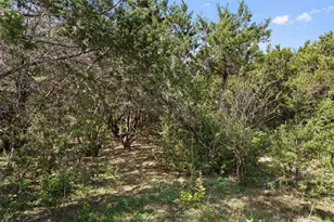 164 Milestone Rd, Liberty Hill, TX 78642 - Photo 35