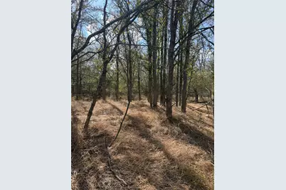 Lot 118 W Keomuku Lane, Bastrop, TX 78602 - Photo 3