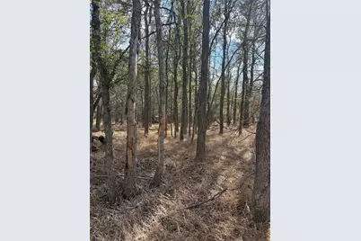 Lot 118 W Keomuku Lane, Bastrop, TX 78602 - Photo 1