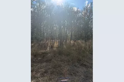Lot 118 W Keomuku Lane, Bastrop, TX 78602 - Photo 7