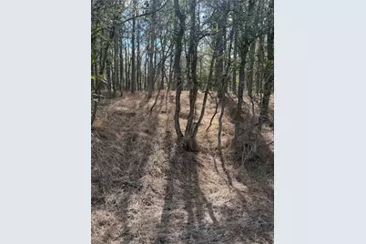 Lot 118 W Keomuku Lane, Bastrop, TX 78602 - Photo 5