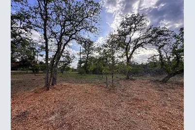 368 Woodlands Drive, Bastrop, TX 78602 - Photo 37