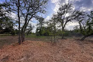 368 Woodlands Dr, Bastrop, TX 78602 - Photo 37