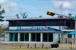 1408 W 39th 1/2 St, Austin, TX 78756 - Photo 29