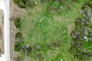 5303 Bell Springs Rd, Dripping Springs, TX 78620 - Photo 7