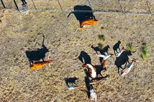 Tbd Lipan Apache Run, Blanco, TX 78606 - Photo 1