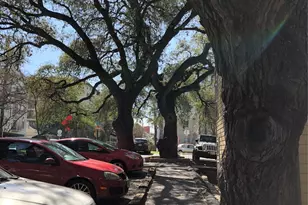 1000 W 26th St, Austin, TX 78705 - Photo 17