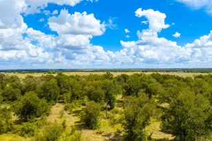0 Tract 2 Cr 470 Center, Coupland, TX 78615 - Photo 25