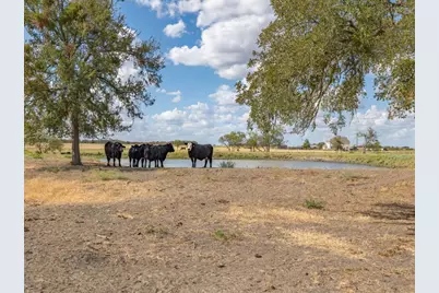 1801 County Road 470, Coupland, TX 78615 - Photo 31