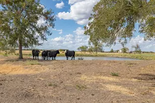 1801 Co Rd 470, Coupland, TX 78615 - Photo 31