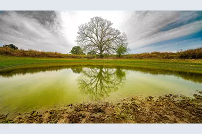 2234 County Road 434 Loop, Rockdale, TX 76567 - Photo 31