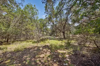 175 Spanish Oak Lane, Liberty Hill, TX 78642 - Photo 3