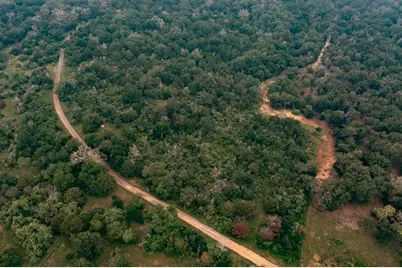 Lot 4 Private Road 4601, Waelder, TX 78959 - Photo 3