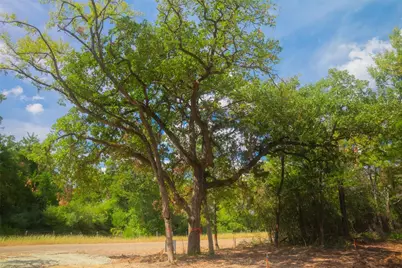 12524 Red Hill Road, Hearne, TX 77859 - Photo 5
