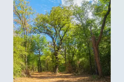 12524 Red Hill Road, Hearne, TX 77859 - Photo 7