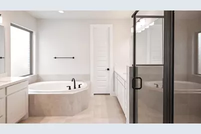 368 Prickly Poppy Loop, Kyle, TX 78640 - Photo 9