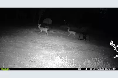7604 N US Highway 77 Highway, La Grange, TX 78945 - Photo 39