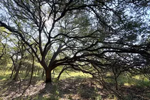 Tbd Lot 3 Sandy Mountain, Sunrise Beach, TX 78643 - Photo 1