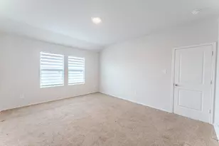 317 Lily Pond Trl, San Marcos, TX 78666 - Photo 11