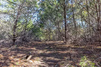Lot 101 Montana Creek Crossing, Marble Falls, TX 78654 - Photo 9