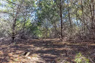 Lot 101 Montana Creek Crossing, Marble Falls, TX 78654 - Photo 9