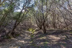 Lot 101 Montana Creek Crossing, Marble Falls, TX 78654 - Photo 11