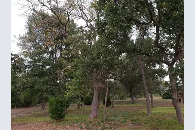 18901 Hog Eye Road, Manor, TX 78653 - Photo 9