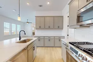 226 Grayson Elm Pass, Dripping Springs, TX 78620 - Photo 17