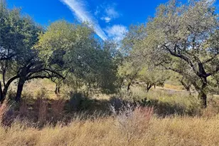 Lot 33 & Lot 34 Prince Peak St, Cottonwood Shores, TX 78657 - Photo 5