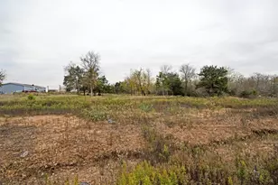 113 Blanco Cyn St, Elgin, TX 78621 - Photo 3