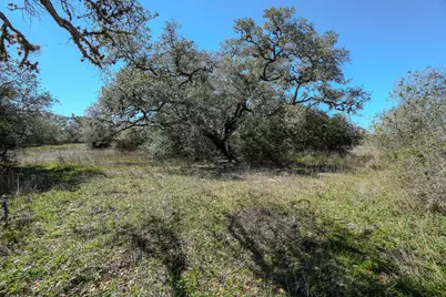 Tbd Forest Oaks Drive, Altair, TX 77412 - Photo 9