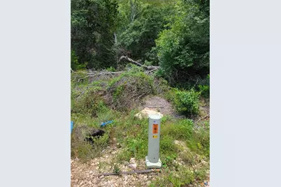 Lot 315 Private Road 1745 Road, Mico, TX 78056 - Photo 1